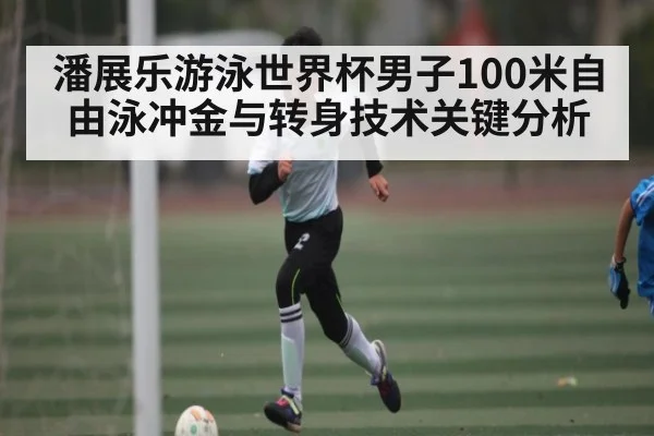 潘展乐游泳世界杯男子100米自由泳冲金与转身技术关键分析